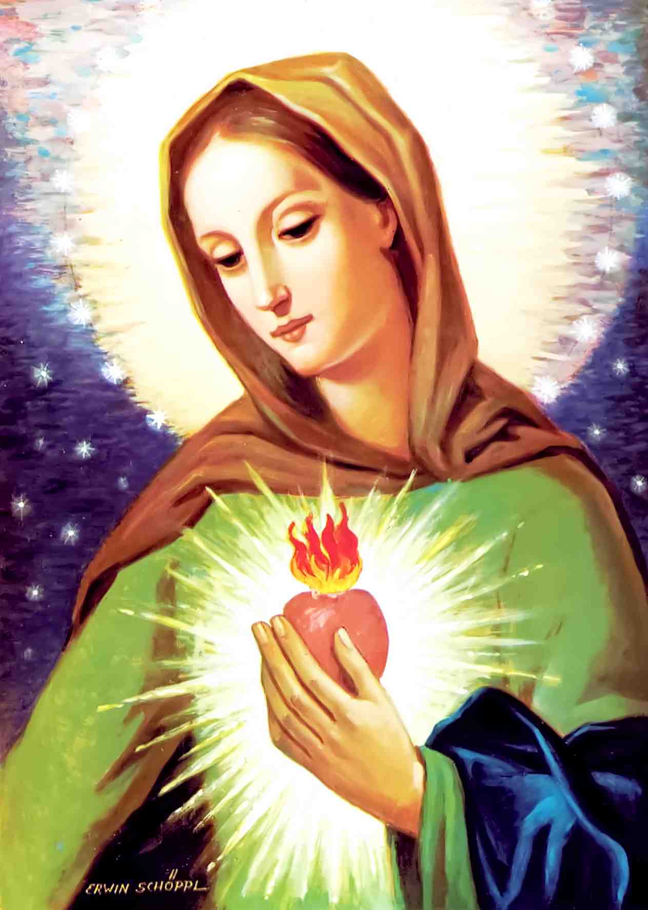 The Flame of Love of the Immaculate Heart of Mary